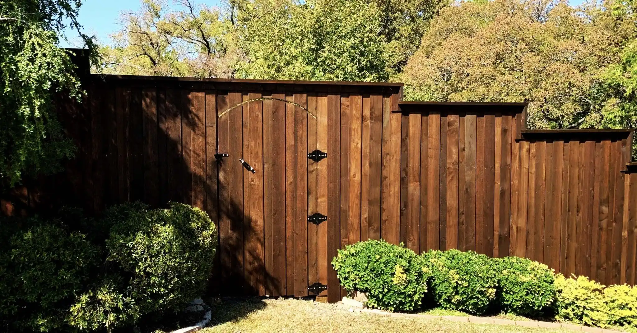 Sequoia 8 ft board on board cedar fence with cap and trim