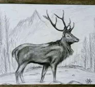 Jorge’s pencil drawing of an elk